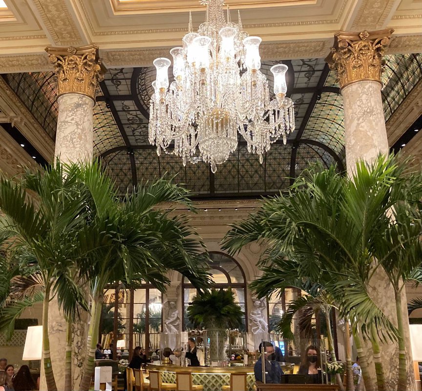 The Palm Court at the Plaza Hotel – Hotel Association of New York